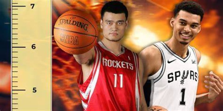 The Future Tallest Player in NBA? Transylvania Now