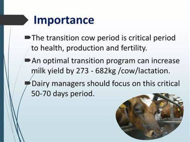 The Importance Of The Transition Dipole Moment In Chemistry