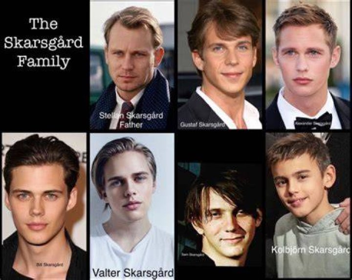 The Sibling Dynasty Of Bill Skarsgrd: Meet The Talented Family