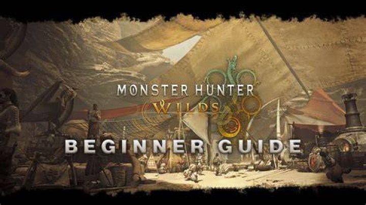 The Ultimate Guide To Hunter Rally: Tips And Techniques