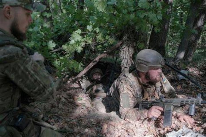 The Ultimate Guide To Operation Porcupine: Tactics And Strategies