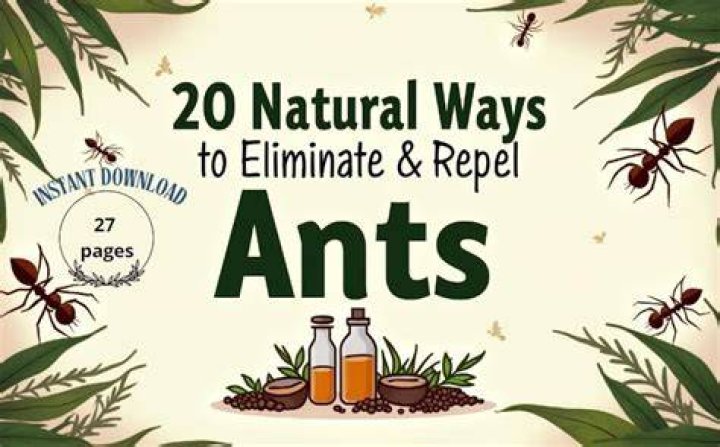The Ultimate Guide To Repelishd: Effectively Repel Pests And Odors