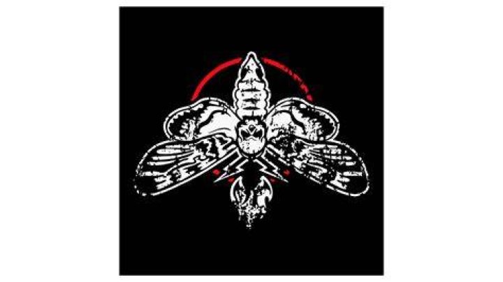 The Unforgettable Firefly Bray Wyatt Logo: A Symbol Of Triumph And Darkness