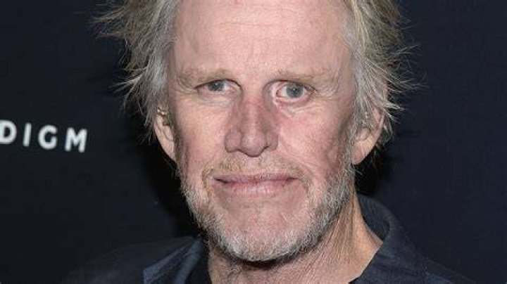 This Is How Gary Busey Lost All Of His Money