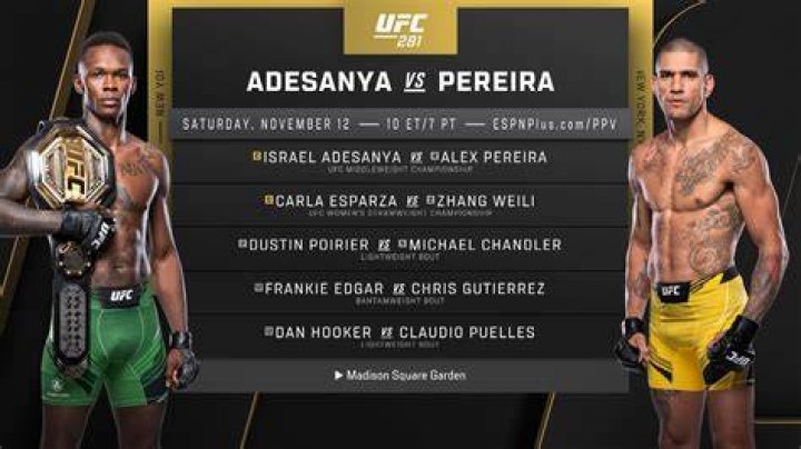 UFC 281 Adesanya vs Pereira Purse Payout, and Salaries SportPaedia