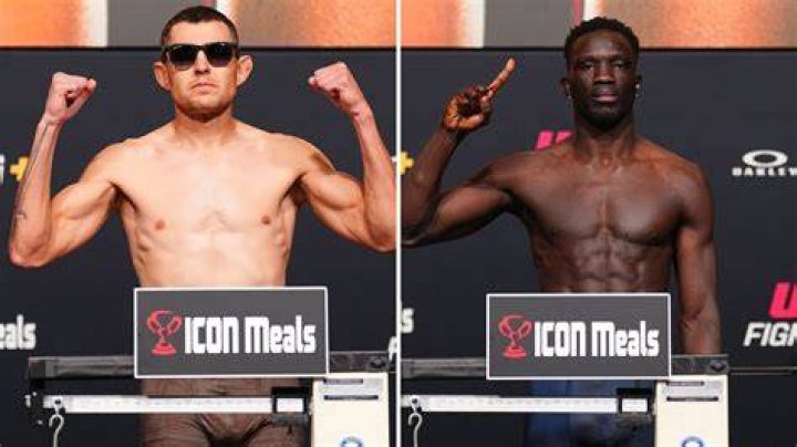 Ufc Weight Inns Hot Sex Picture