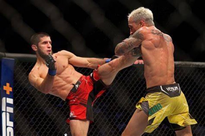 Ultimate Dominance: Maria Oliveira's Reign In MMA