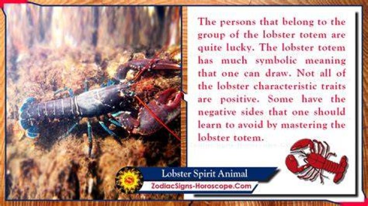 Ultimate Guide To Understanding Rock Lobster Symbolism