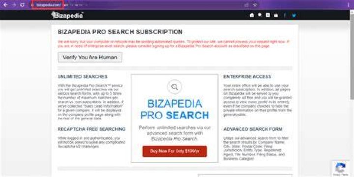 Uncover Business Insights With The Bizapedia Business Search Engine