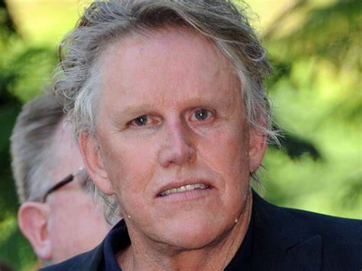 Uncovering The Truth Behind Gary Busey's Mysterious Eye Injury