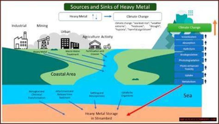 Understanding The Nature And Potential Impacts Of Mellstroy Charges