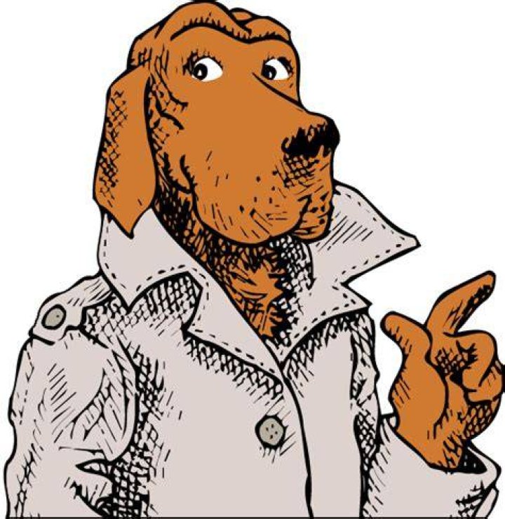 Unlocking The Secrets Of Crime Prevention With Scruff McGruff, The Legendary Canine Crusader