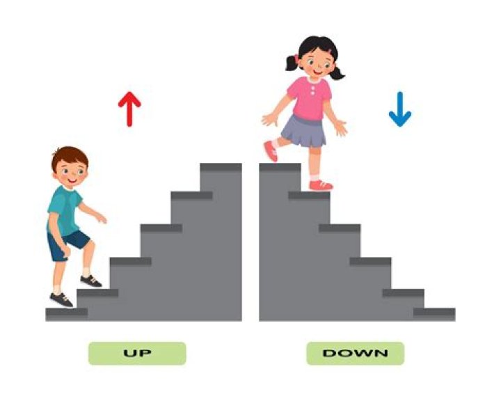 Up and Down With the Kardashians Chan`s Jupyter