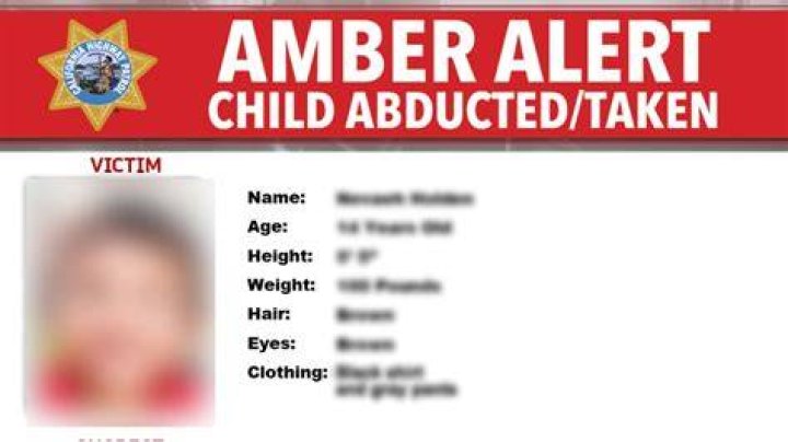 Urgent Alert: Princeton, Texas Amber Alert - Authorities Seek Immediate Assistance