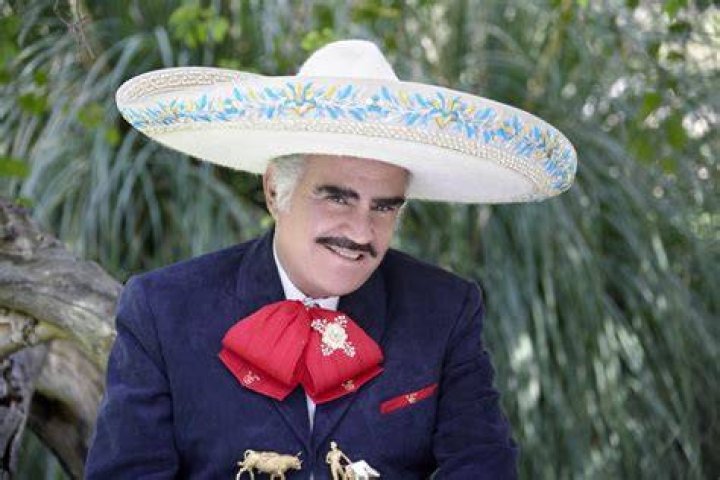 Vicente Fernandez M&M Group