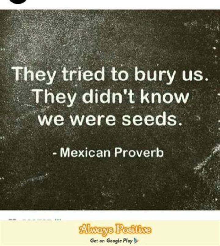 Want a new Mexican proverb to live your life by? See here for our top
