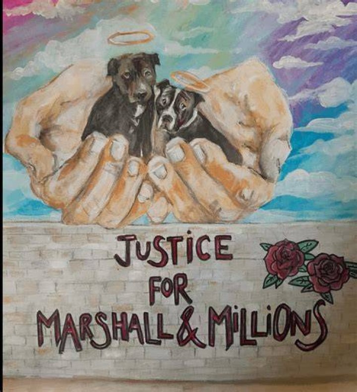 WATCH Marshall and Millions Video, Could It Have Been Prevented?