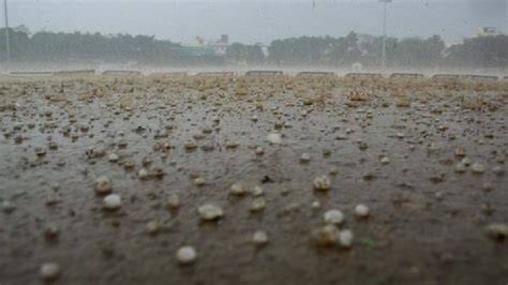 Watch Timelapse video shows hailstorm rolling over Seattle Latest