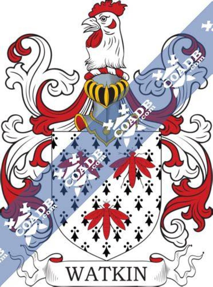 Watkins Coat of Arms/Family Crest Postcard