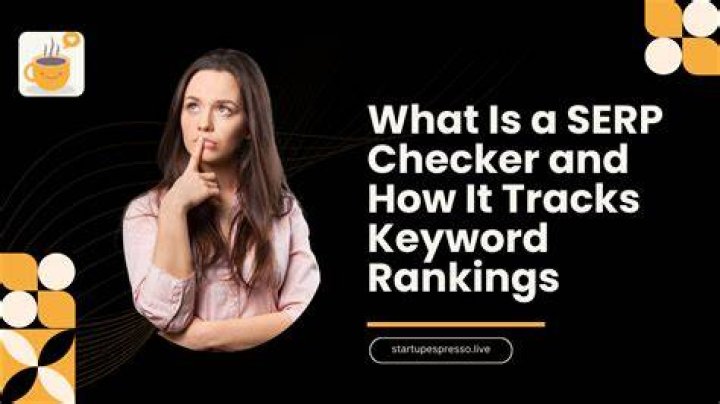 What Does the SERP Checker Measure?