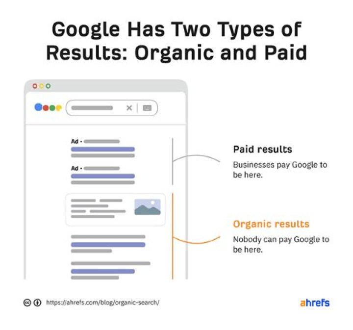 What is Organic Search? Everything You Need to Know