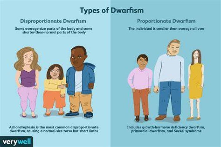 What Kind of Dwarfism Does Jen Arnold Have? 'The Little Couple' Star