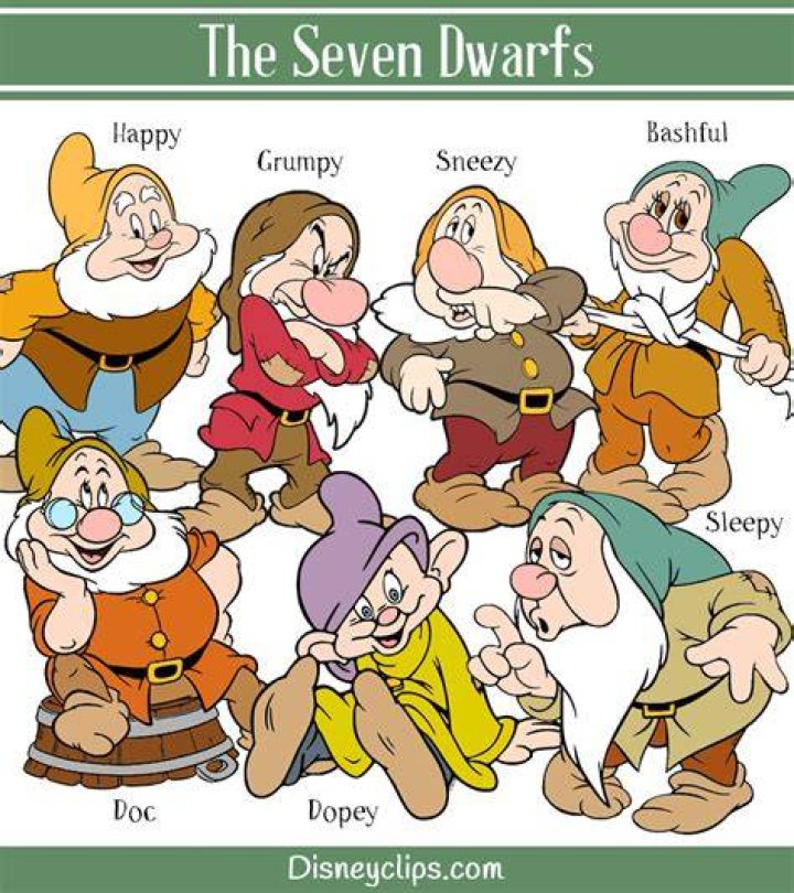 Which Of The 7 Dwarfs Are You?
