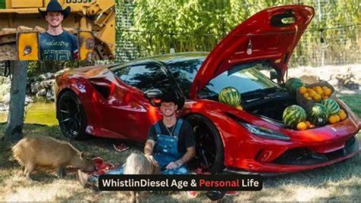 Whistlindiesel Net Worth Famosa Bio