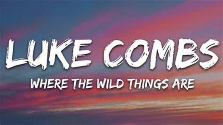 Who Is The Songwriter Behind Luke Combs' Hit Song "Where The Wild Things Are"?