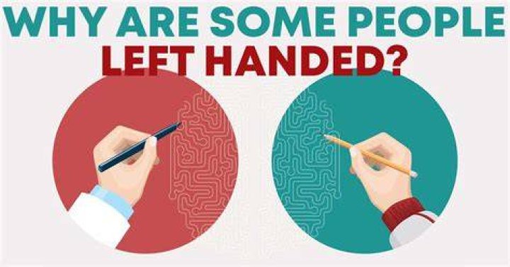 Why Are People Left (or Right) Handed? Live Science