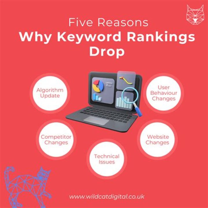 Why Keyword Rankings Can Be Misleading MECHANYSM