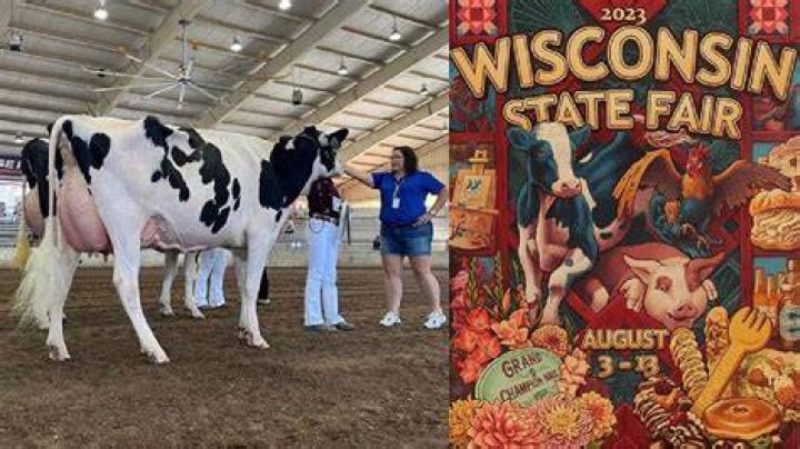 Wisconsin State Fair Cow Name, after racial slur sparks State Fair