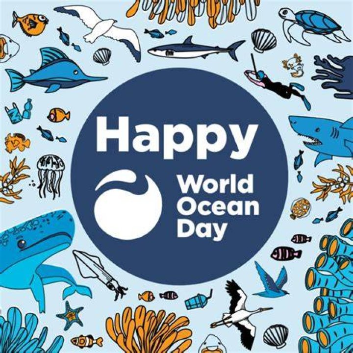 World Oceans Day Leila Hamdan, Ph.D. YouTube