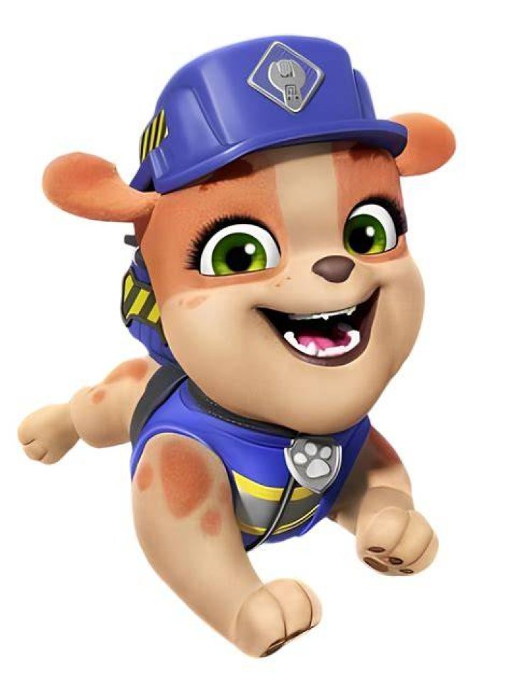 Zuma/Appearances PAW Patrol Wiki Fandom powered by Wikia